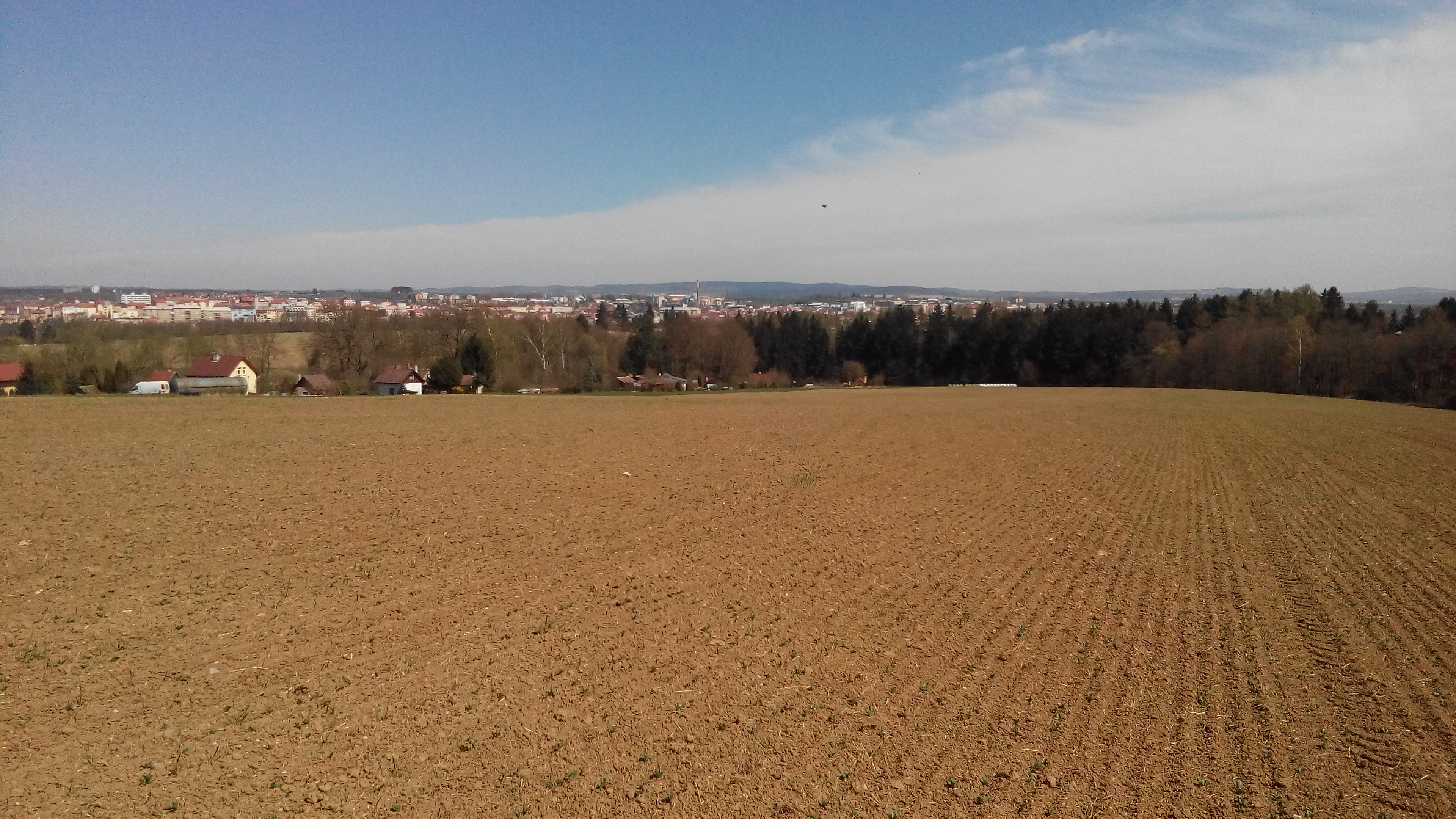 Jaro na Horkách u Tábora 2 - duben 2015