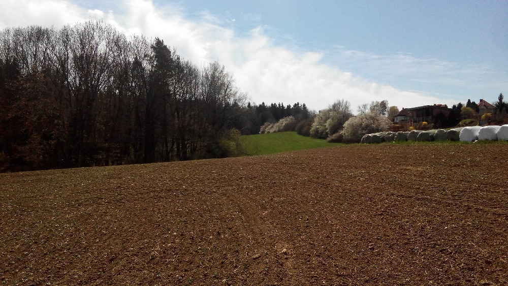 Jaro na Horkách u Tábora - duben 2015